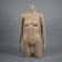 Манекен торса женский с руками TORSOS female, H930 мм - FT-2S